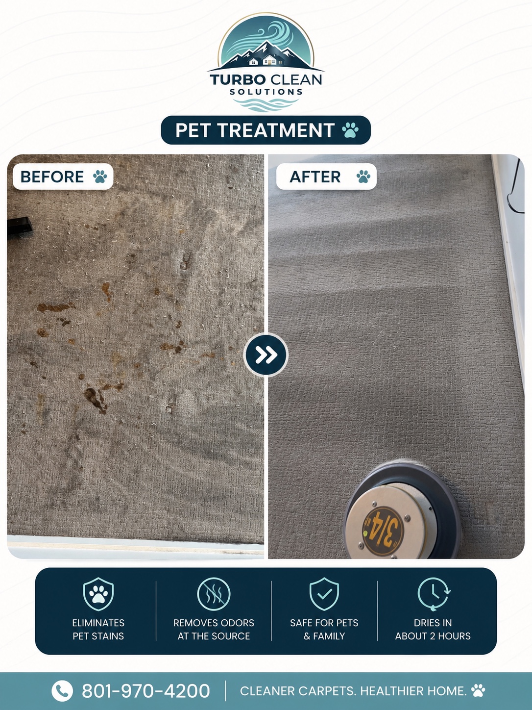 Pet treatment before and after result